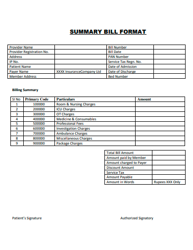 summary bill format
