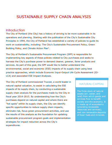 sustainable supply chain analysis