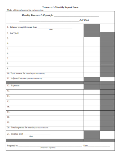 treasurer monthly report form
