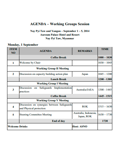 working groups session agenda