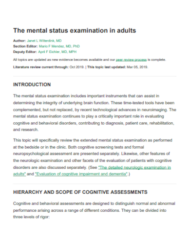 adults mental status exam