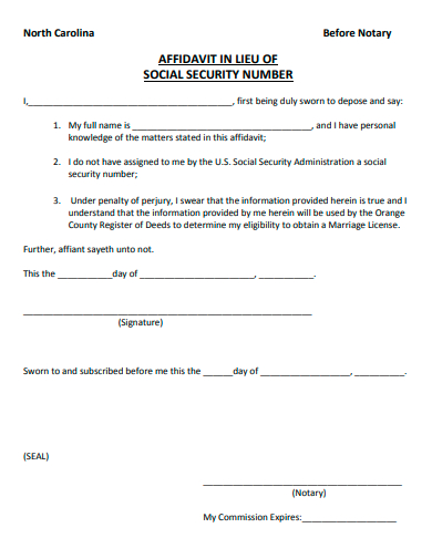 affidavit in lieu of social security number