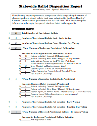 ballot disposition report