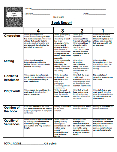 book report example