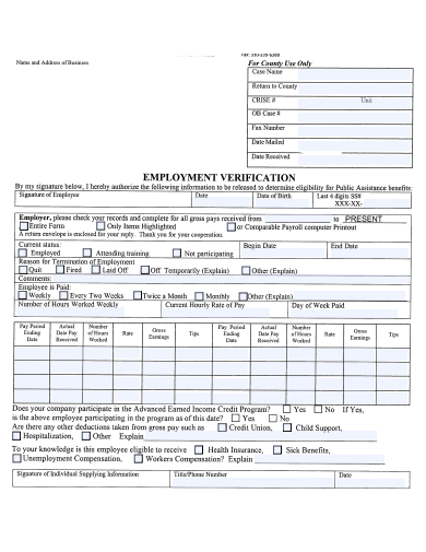 employment verification format