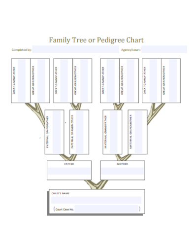 family tree pedigree chart