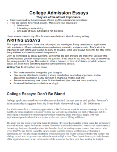 formal college admission essays