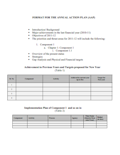 format for annual action plan