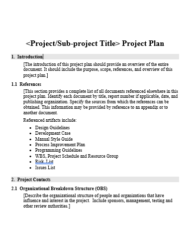 project plan in doc