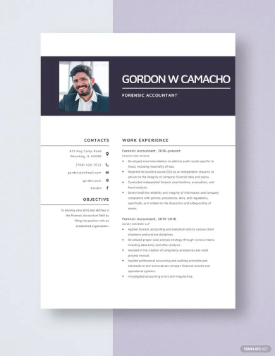 simple forensic accountant resume template
