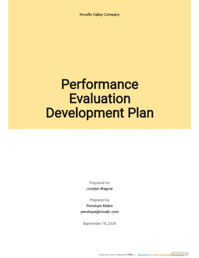 performance evaluation development plan template
