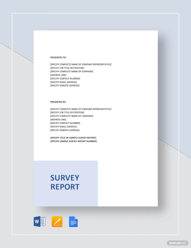 sample survey report template