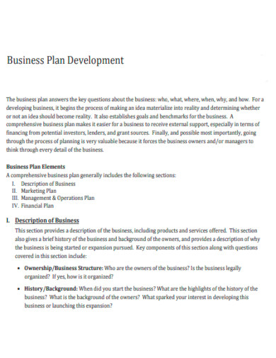 business plan development template