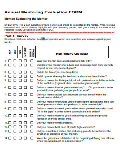 annual mentoring evaluation form template