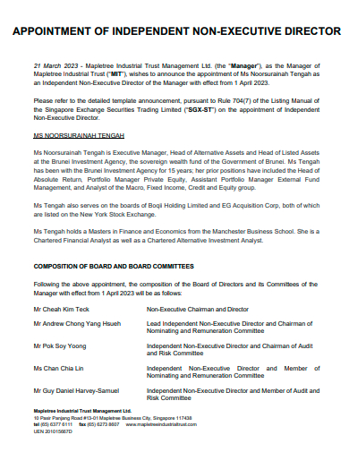 appointment of independent non executive director template