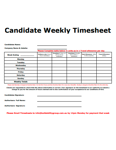 candidate weekly timesheet template