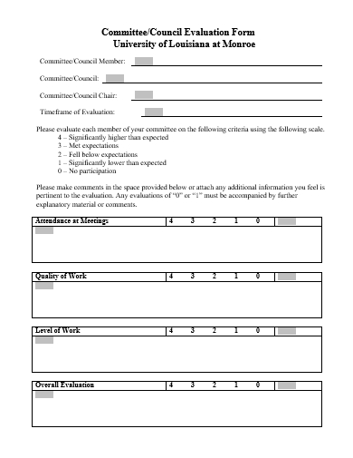 council evaluation form template