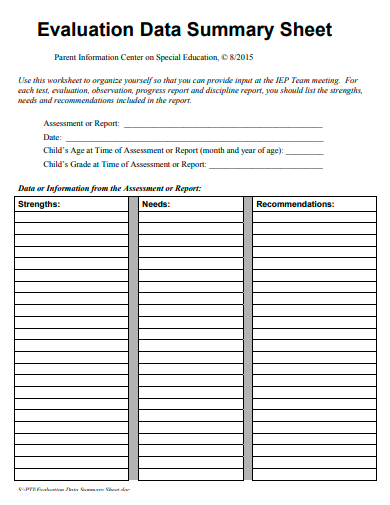 evaluation data summary sheet template
