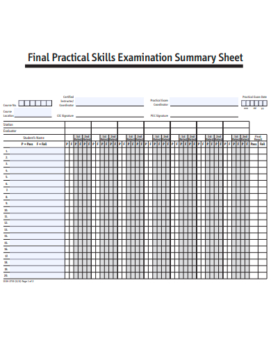 final practical skills examination summary sheet template