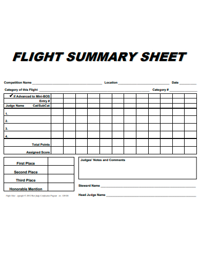 flight summary sheet template