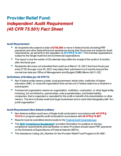 independent audit requirement template