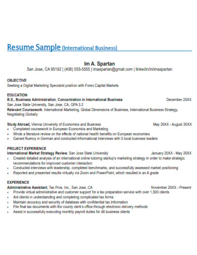 international business resume template