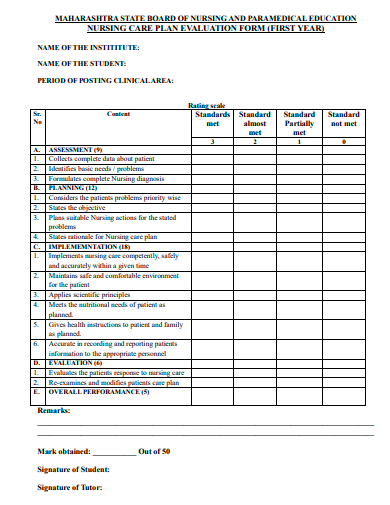 nursing care plan evaluation form template