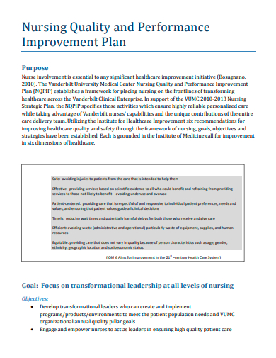 nursing quality and performance improvement plan