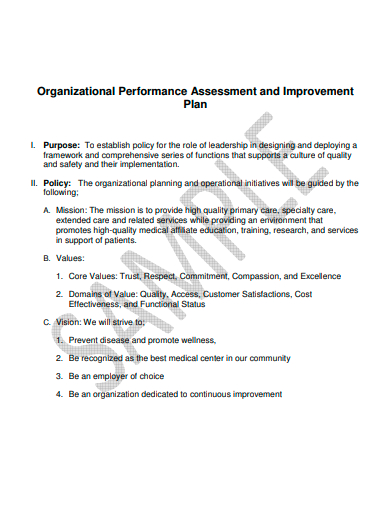 organizational performance assessment and improvement plan template