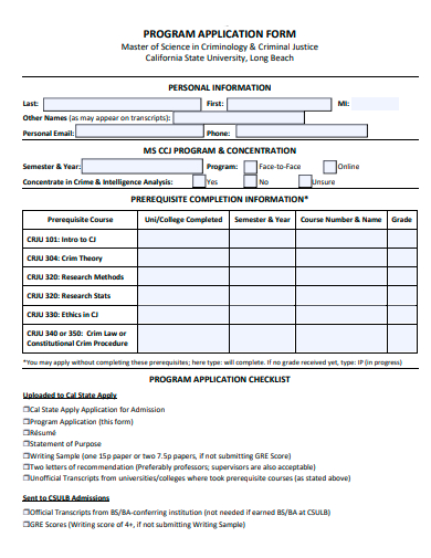 program application form template