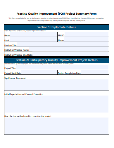project summary form template