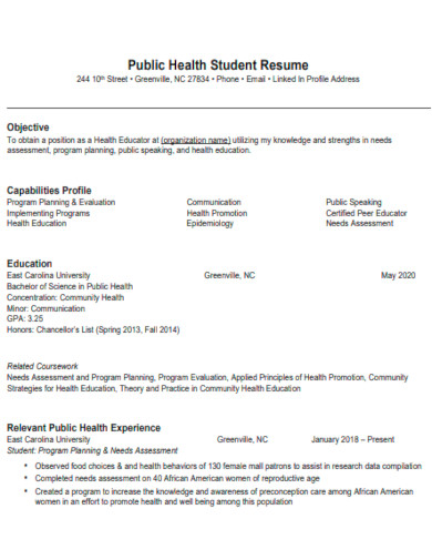 public health student resume template