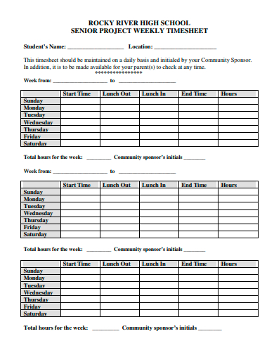 senior project weekly timesheet template