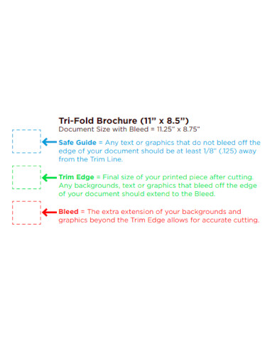 tri fold brochure template