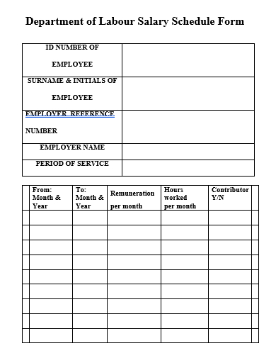 department of labour salary schedule form template