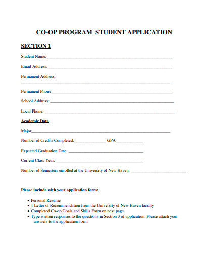 program student application template