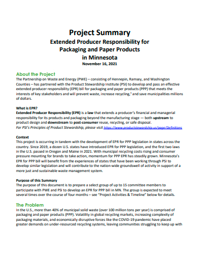 FREE 50+ Project Summary Samples in MS Word | Google Docs | Pages | PDF