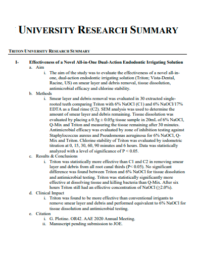 university research summary template