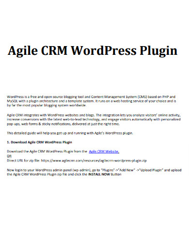 crm wordpress plugin
