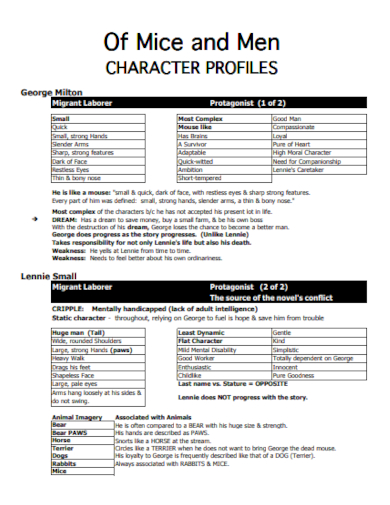 character profile format