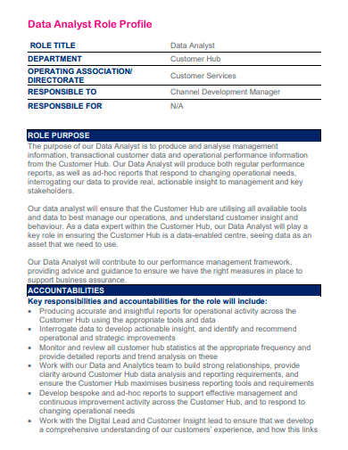 data analyst role profile template