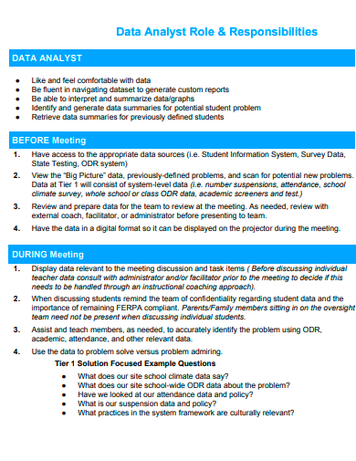 data analyst role and responsibilities template