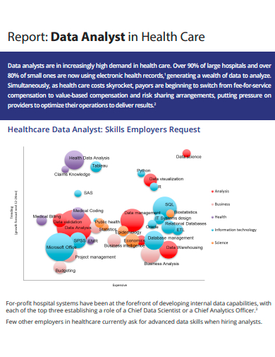 data analyst in health care report template