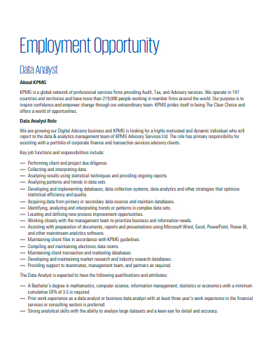 employment opportunity data analyst template
