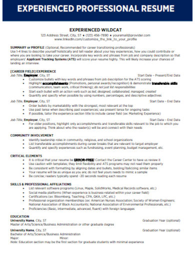 experienced professional resume