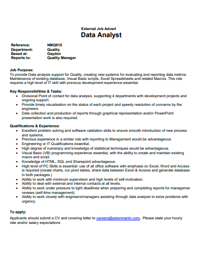 external job advert data analyst template