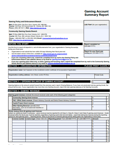 gaming account summary report template