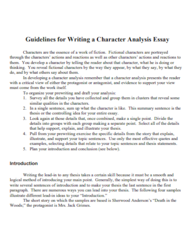 guidelines for character profile analysis