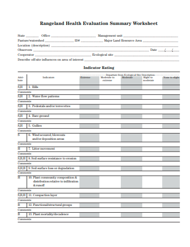 health evaluation summary worksheet template