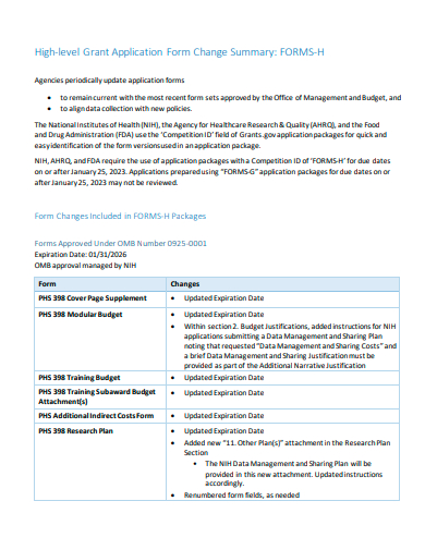 high level grant application form change summary template